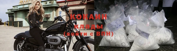 винт Пересвет