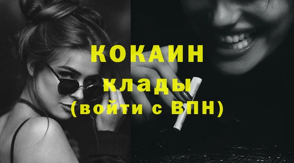 винт Пересвет