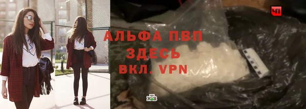 молекула духа Арсеньев