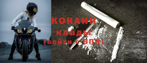 молекула духа Арсеньев